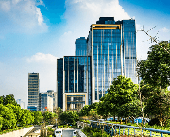Fruit Bats Pteropodidae