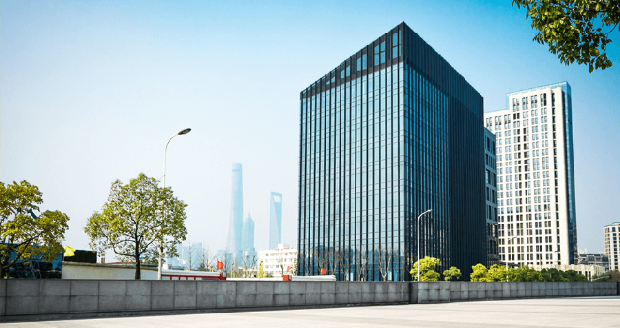 Rousettus Egyptian Fruit Bat