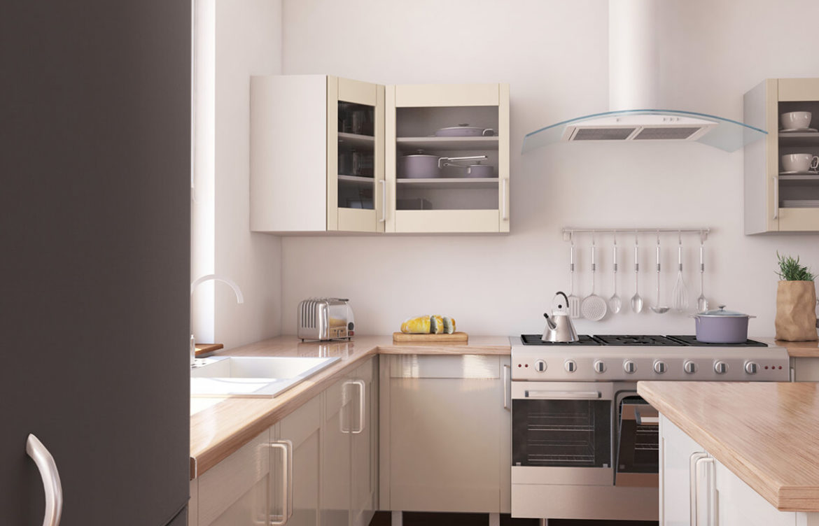 Flying Foxes – Largest Megabat Species