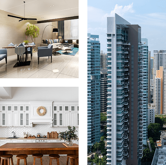 megabats fruit bats flying foxes